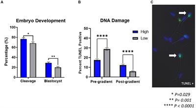 The development of new biomarkers of spermatozoa quality in cattle